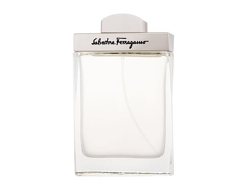 Toaletní voda Ferragamo Pour Homme 100 ml