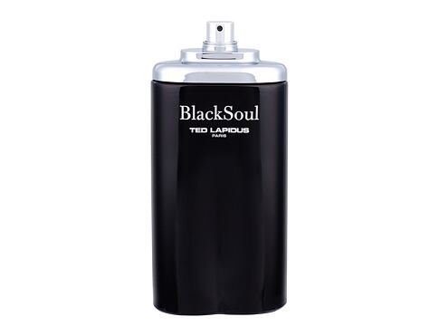 Toaletní voda Ted Lapidus Black Soul 100 ml Tester
