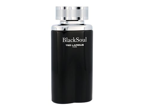 Toaletní voda Ted Lapidus Black Soul 100 ml