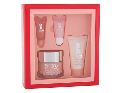 Denní pleťový krém Clinique Moisture Surge 50 ml Kazeta