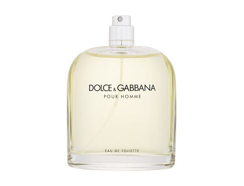Toaletní voda Dolce&Gabbana Pour Homme 125 ml Tester