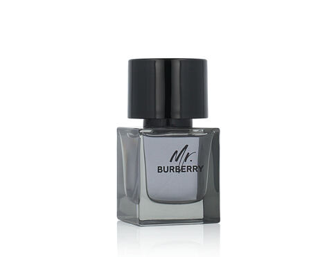 Toaletní voda Burberry Mr. Burberry 50 ml