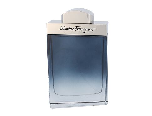 Toaletní voda Ferragamo Subtil Pour Homme 100 ml