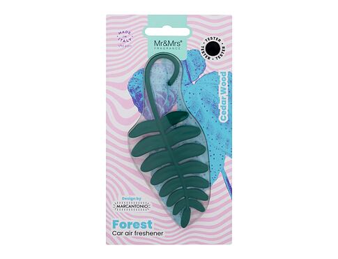 Vůně do auta Mr&Mrs Fragrance Forest Fern Green 1 ks