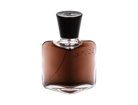 Toaletní voda Roberto Capucci L´Homme Suave 100 ml