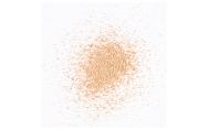 Pudr Rimmel London Stay Matte 14 g 001 Transparent